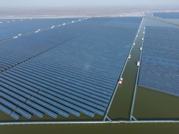 EU rejects solar industry request for emergency help against cheap Chinese imports
