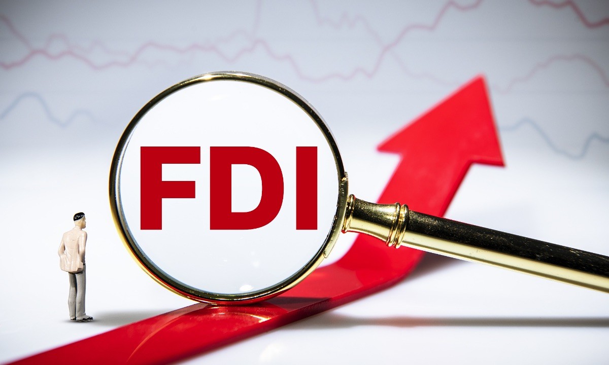 Legislators and advisers emphasize the need to attract more foreign investment