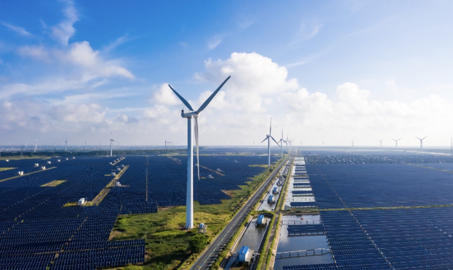 China publishes set of green targets to help accelerate green transformation