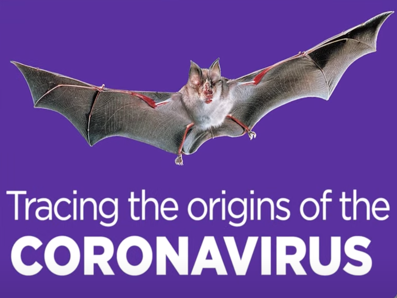 China rejects theory that coronavirus escaped from Wuhan lab