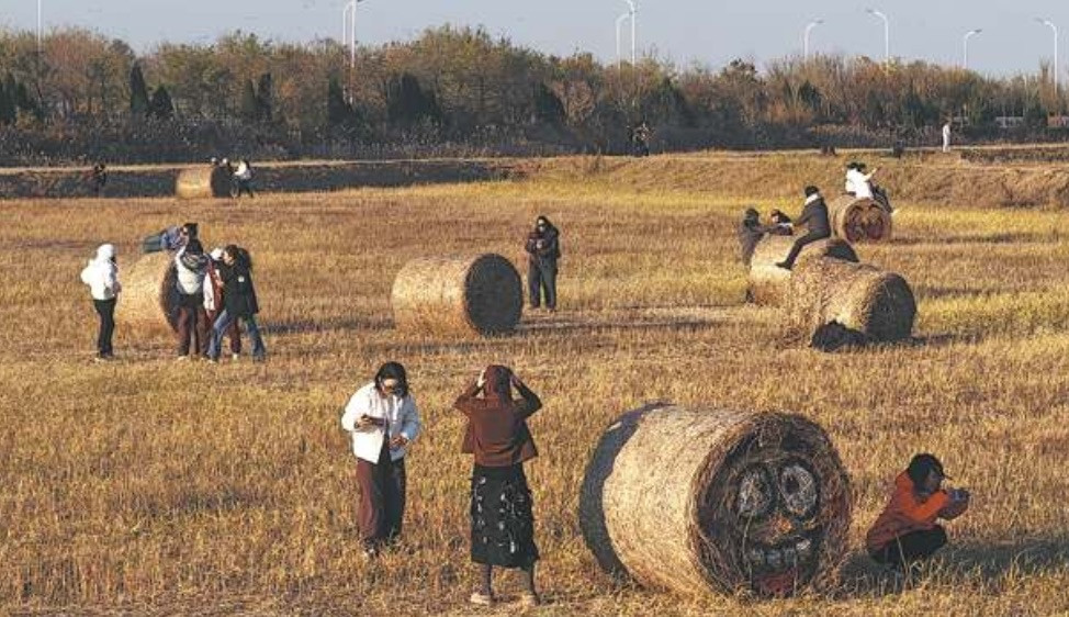 Innovation also transforms agriculture in Shandong province