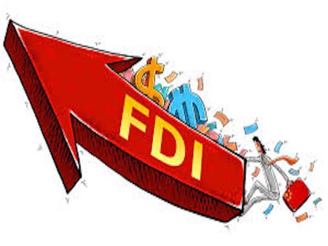 Used FDI up 19.6% in first nine months; development plan for FDI released